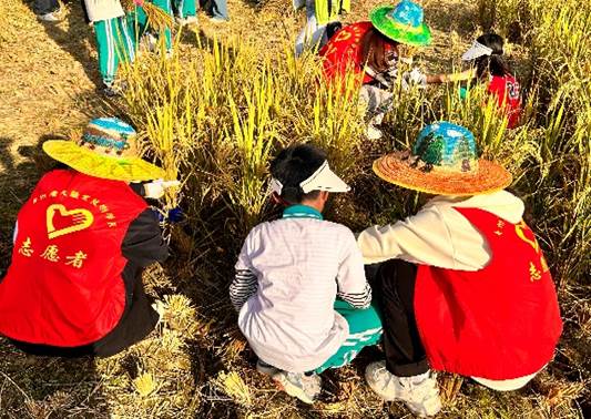 图片包含 草, 风筝, 户外, 华美

AI 生成的内容可能不正确。